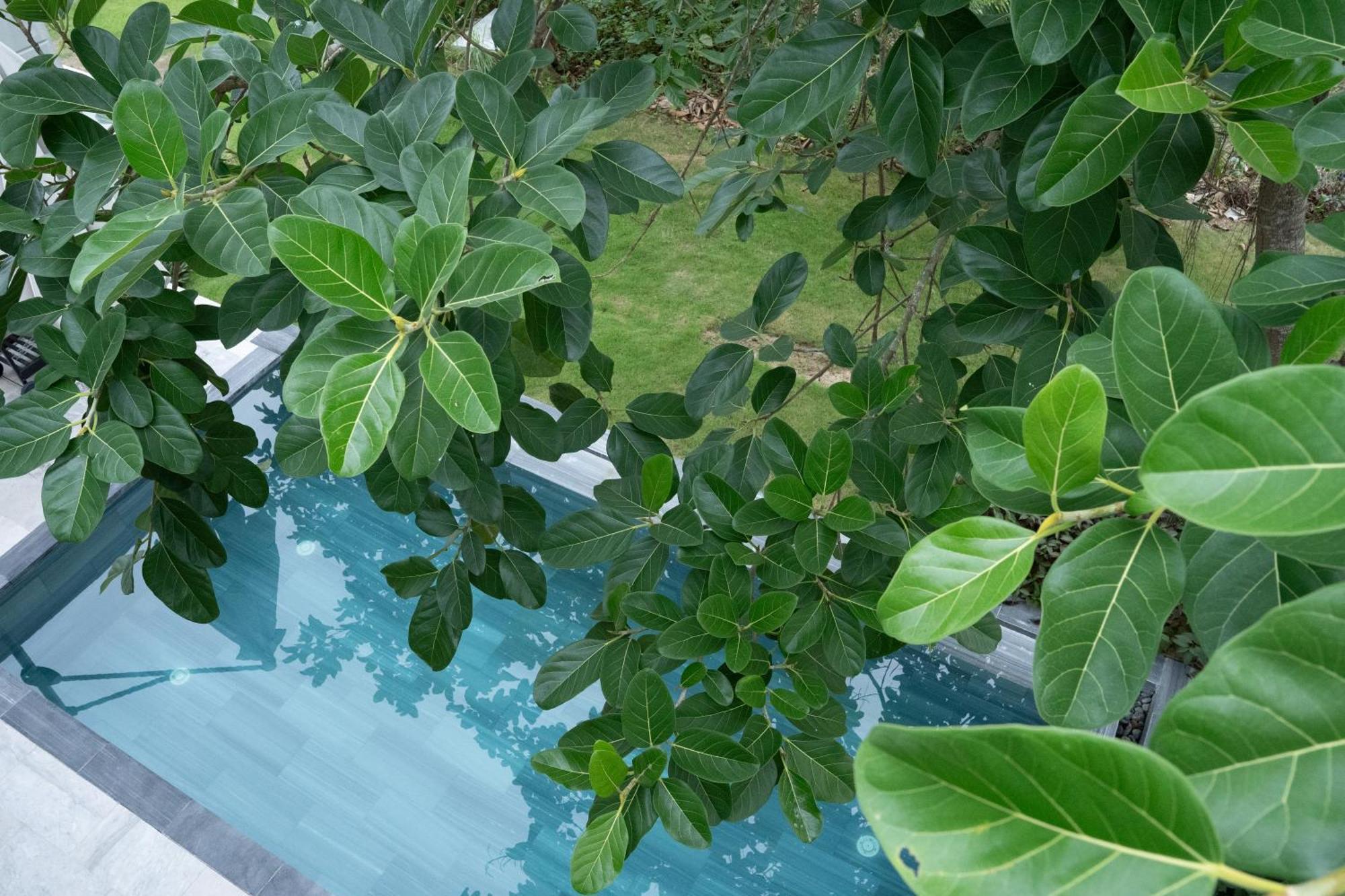 "Brg Golf Club" - Danang Private Pool Villa 3 Bedrooms #1 Екстер'єр фото